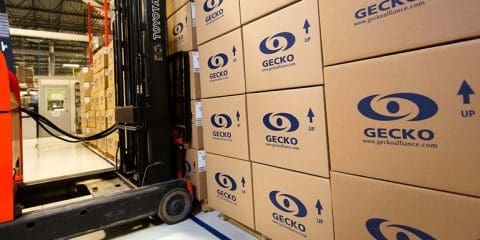 boîtes gecko alliance empilés