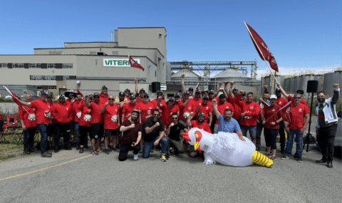 Les travailleuses et travailleurs de Viterra à Bécancour entament leur septième semaine de grève 
