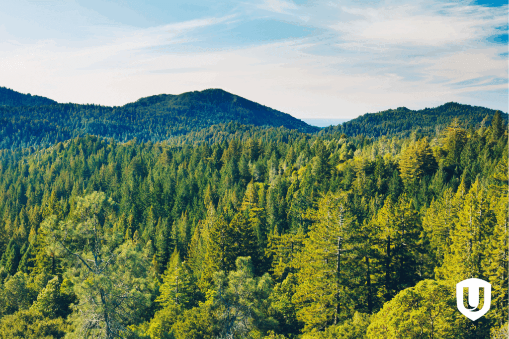 Unifor rencontrera la haute direction de Domtar pour discuter de l’avenir des usines de Kénogami et Dolbeau