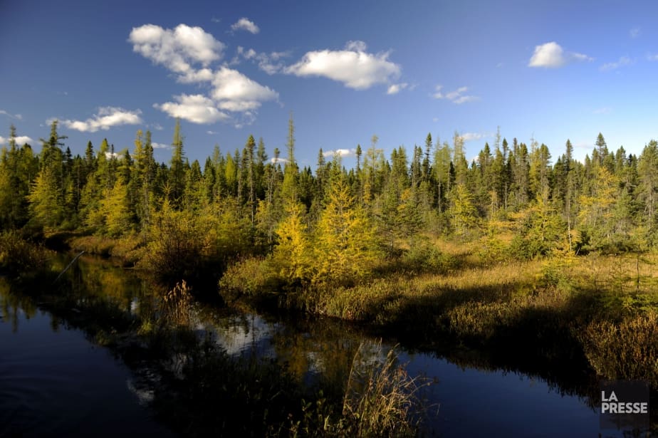 PHOTO BERNARD BRAULT, ARCHIVES LA PRESSE
